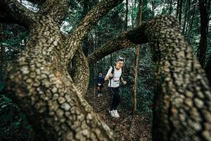 BIB: 
                            <button type="button" onclick="openModal(25394166)" class="btn btn-primary btn-sm float-right btn-popup" data-toggle="modal" data-target=".modal-high-quality">
                        <i class="fas fa-shopping-cart"></i> Add to Cart
                    </button>
                                            <button type="button" onclick="isThisMe(25394166, true)" class="btn btn-success btn-sm float-right btn-popup btn-isme hidden" data-toggle="tooltip" data-placement="bottom" title="นี่คือรูปของคุณใช่ไหม คลิกที่นี่เพื่อเอาเข้าอัลบั้ม">
                        <i class="fas fa-plus"></i> Add to album
                    </button>
                    <button type="button" onclick="isThisMe(25394166, false)" class="btn btn-warning btn-sm float-right btn-popup btn-isnotme hidden">
                        <i class="fas fa-ban"></i> Remove from album
                    </button>